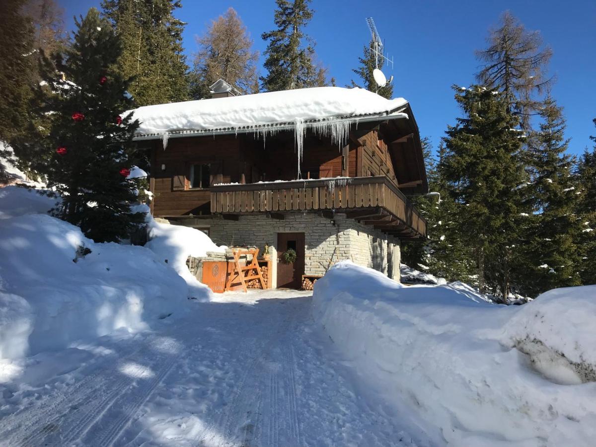 Kronplatz Ski Lodge Valdaora Kültér fotó