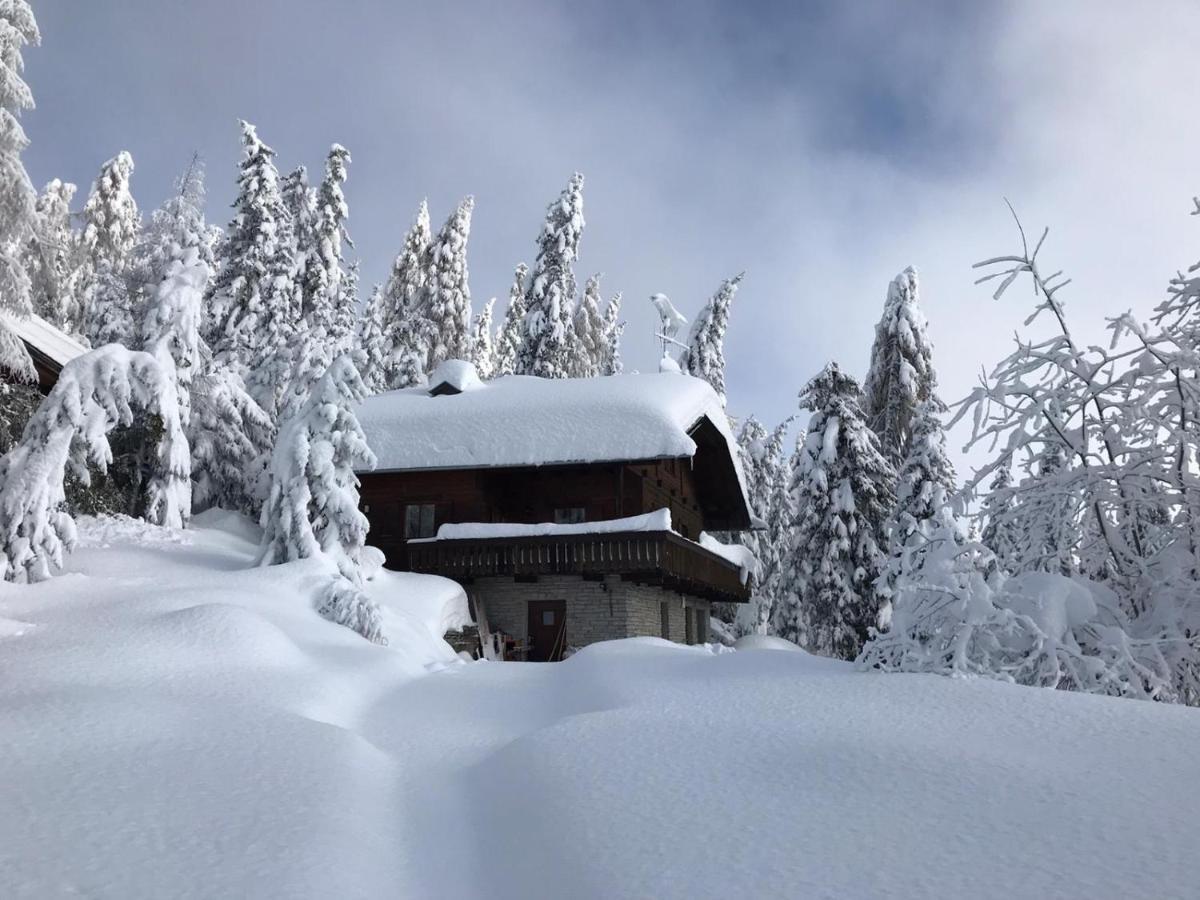 Kronplatz Ski Lodge Valdaora Kültér fotó