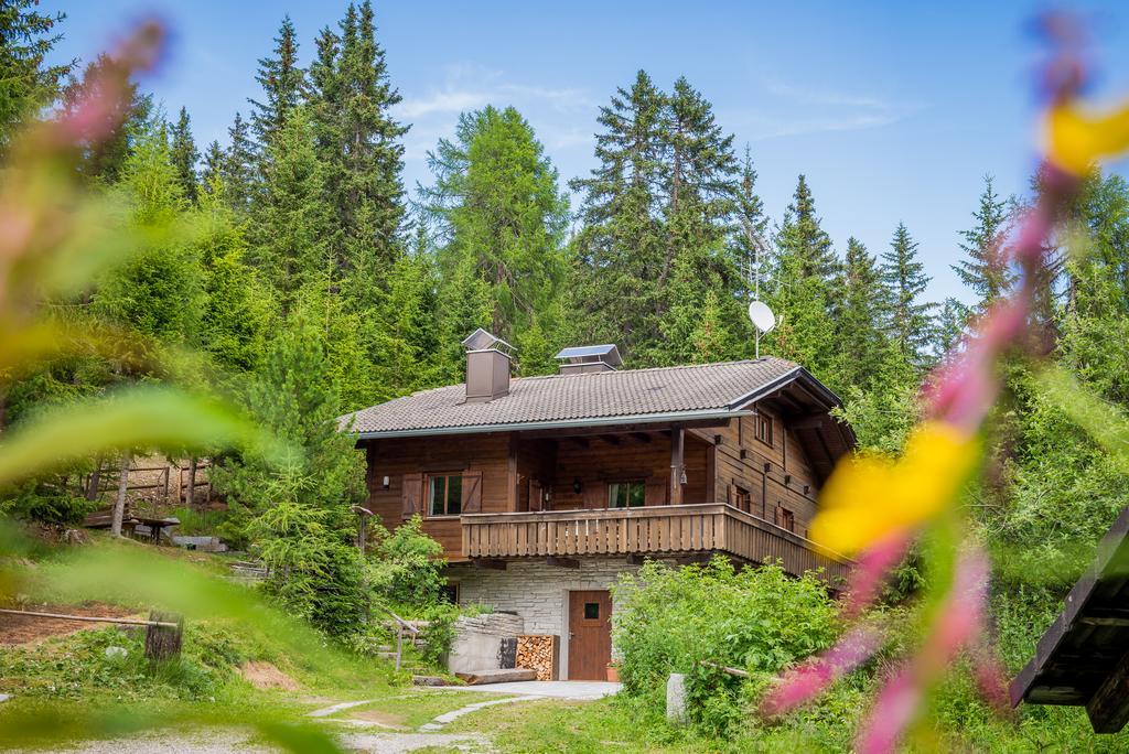 Kronplatz Ski Lodge Valdaora Kültér fotó